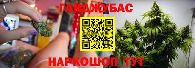 шишки Дубна