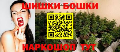 шишки Дубна