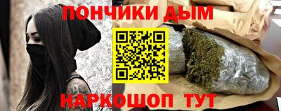 шишки Дубна