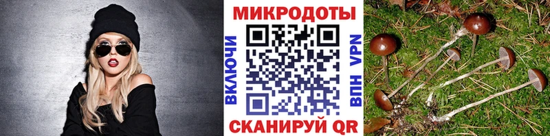 продажа наркотиков  Сосновый Бор  Галлюциногенные грибы GOLDEN TEACHER 