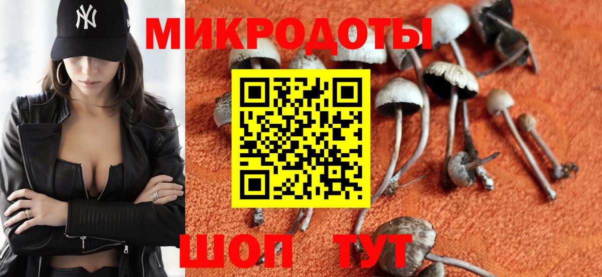 Псилоцибиновые грибы GOLDEN TEACHER Сосновый Бор