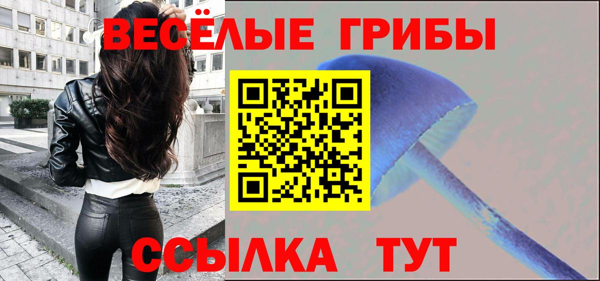 Галлюциногенные грибы Psilocybine cubensis  Вход с VPN  Сосновый Бор 